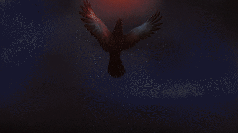 Fleet Foxes Art GIF by ANTI- Records