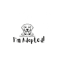 Adopt Me Black Dog Sticker by Pawzitively Beautiful
