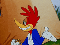 Woody Woodpecker This Guy GIF
