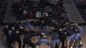 Upper Iowa GIF by UIUPeacocks