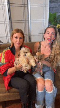 Dying Laughing Fun GIF by Jessimae Peluso