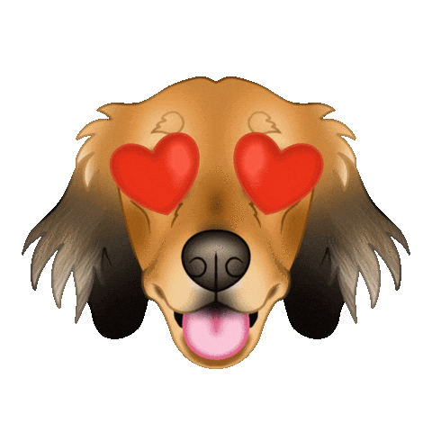 Sausage Dog Dachshund Sticker by zoopeez