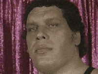 Andre The Giant Reaction GIF