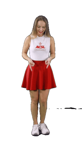 Football Basketball Sticker by ACSL - Austrian College Sports League