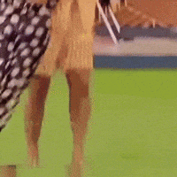 Nevin GIF