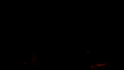 Magnum Pi Train GIF by CBS