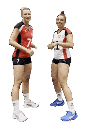 Swissvolley Sticker by NUCVolleyball