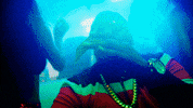 taramcdonaldtv party money pop fiesta GIF