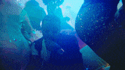 taramcdonaldtv party money pop fiesta GIF