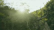 Ron Perlman 90S GIF by Transformers
