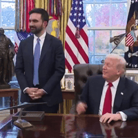 Donald Trump GIF by Respective
