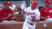 Regular Season Sport GIF by MLB