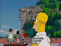 homer simpson episode 22 GIF