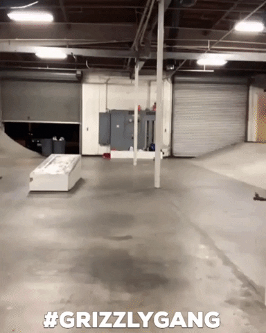 luan oliveira fun GIF by Torey Pudwill