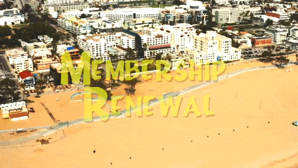 GIF by Kehillat Israel