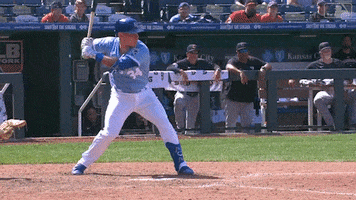 Lets Go Sport GIF by Kansas City Royals