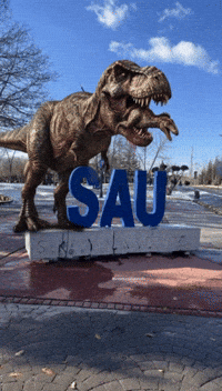 Sakarya GIF