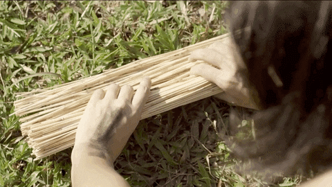 sarakzl_ giphyupload GIF