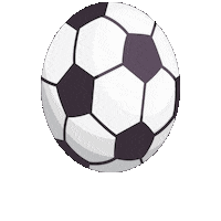 Football Soccer Sticker by NAIG2023