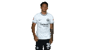 Sge Ok Sticker by Eintracht Frankfurt