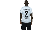 Turn Sge Sticker by Eintracht Frankfurt