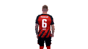 Turn Sge Sticker by Eintracht Frankfurt