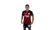 Happy Celebration Sticker by Eintracht Frankfurt
