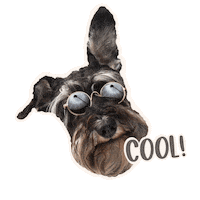 Best Friend Yes Sticker