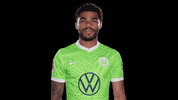 Sport Reaction GIF by VfL Wolfsburg