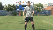 cnms18 twan verweij GIF by Carson-Newman Athletics