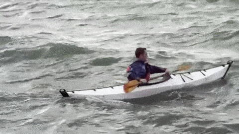 GIF by Supercompressor