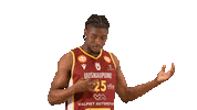 Sport Koripallo Sticker by Basket_fi