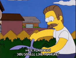 homer simpson GIF