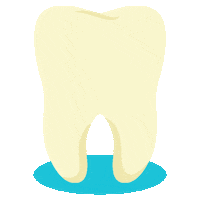 White Teeth Sticker by MySmile