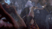 Foxtv GIF by Empire FOX