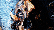 teen wolf kate argent GIF by mtv