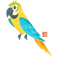 bird love Sticker by Petland Florida