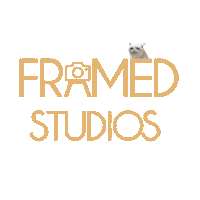 Sticker by Framed Studios