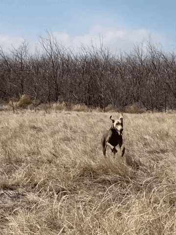 bbankhead craydogannie GIF
