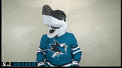 GIF by sjsharkie.com