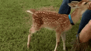 cmt milk GIF by Party Down South