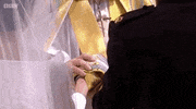 royal wedding GIF by BBC