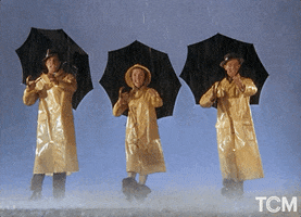 GIF by Turner Classic Movies