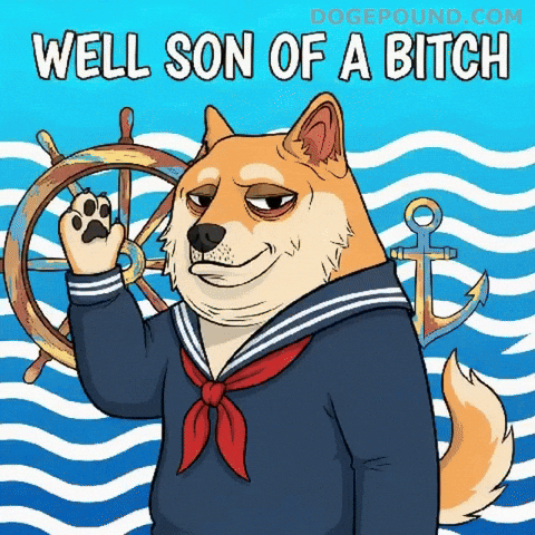 Oh No Omg GIF by Doge Pound