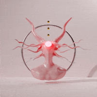 Tentacle Head