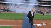 waves walks GIF by MLB