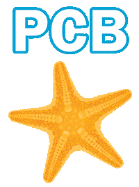 Vacation Starfish Sticker by Panhandle Getaways