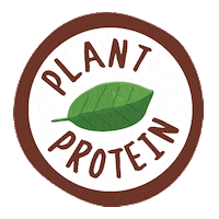 NuttyBruce bruce almond milk plant protein nut milk Sticker