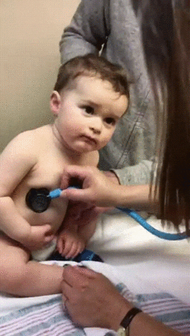 lciaschetinger giphyupload GIF