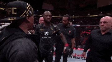 Mixed Martial Arts Sport GIF by UFC